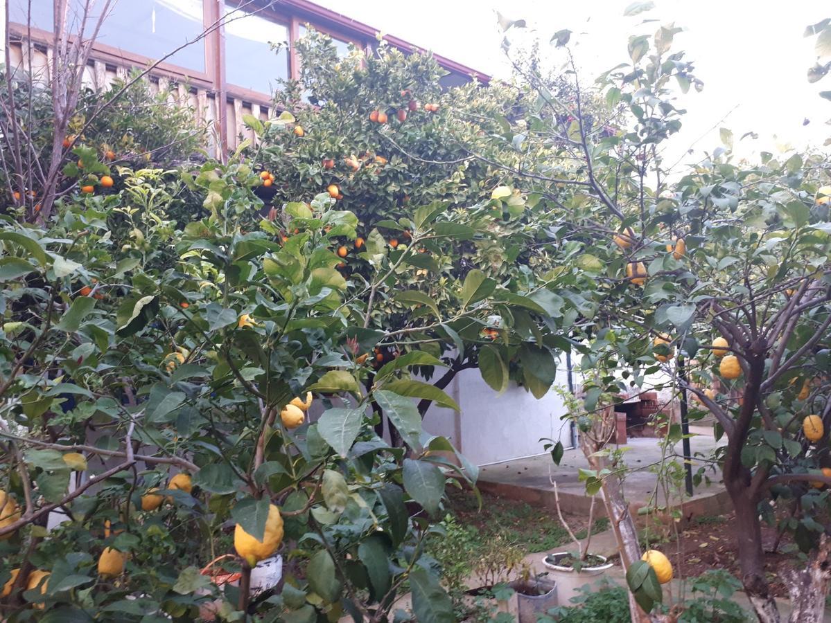 Cennet Pansiyon Ξενοδοχείο Kaleucagız Εξωτερικό φωτογραφία